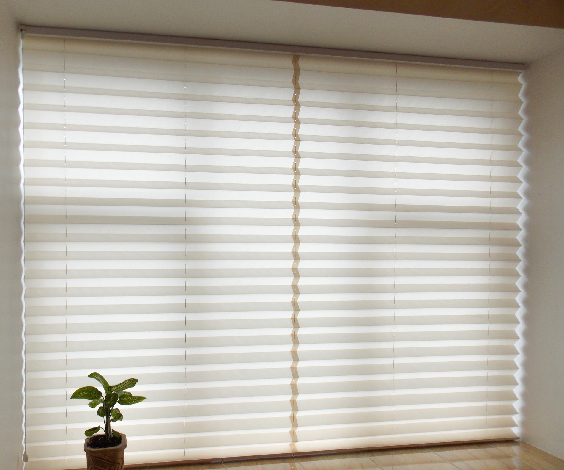 Honeycomb & Cellular Shades in North Carolina